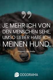Die bilder werden außerdem vom administrator aktualisiert. 47 Zitate Uber Hunde Ideen Hund Zitat Hunde Zitate