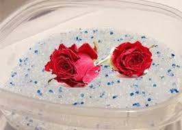 We are finally drying some flowers with silica gel! Pin On Silica Gel