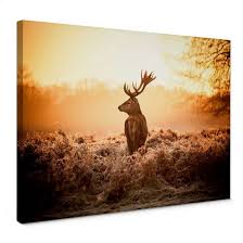 Erst den druck auf leinwand berechnen. Leinwandbild Majestatischer Hirsch Wall Art De
