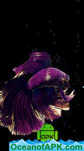 Fish live wallpaper 3d aquarium background hd :pro 1.4 apk full paid latest is a personalization android app download last version fish live . Betta Fish Live Wallpaper Free V1 2 Unlocked Apk Free Download Oceanofapk
