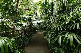 We've got 113 hotels to pick from within a mile of palmiarnia poznanska (palmenhaus poznan). Palmiarnia Poznanska Home Facebook