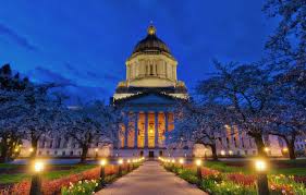 We've added some really good players. Wallpaper Trees Flowers Night The City Lighting Backlight Track Columns Washington Usa Capitol Architecture The Dome Olympia Images For Desktop Section Gorod Download