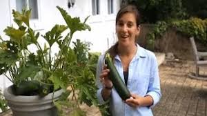 Check spelling or type a new query. Container Squash Youtube