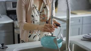 axor citterio semi pro kitchen faucet