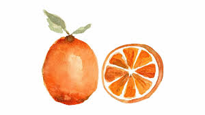 Dibujos de amor rosas faciles imagenes acuarelas para dibujar. Orange Drawing Clementine Dibujos De Acuarela Facil Transparent Png Download 2237950 Vippng