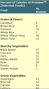 Vegetable Sources Protein Vegetable Protein Vegan Food