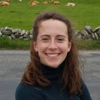 20+ "Stroman" profiles