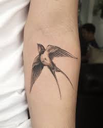 Bird Tattoos For Guys Meaning Pin By Jordanoc On Birds Tattoo Swallow Bird Tattoos Birds Tattoo Tattoos With Meaning