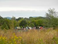 Naturalist Walk: Fall Ecology