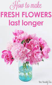 How to make your fresh flowers last longer. How To Make Fresh Flowers Last Longer