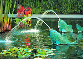 Maybe you would like to learn more about one of these? What S The Story Behind The Fashion Island Koi Pond Orange County Register