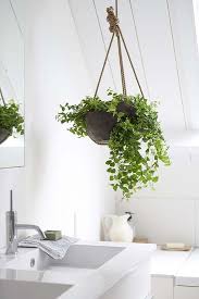 van badkamer tot groene spa badkamer planten kamerplanten planten