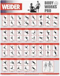 Weider Ultimate Body Works Workout Guide Anotherhackedlife Com