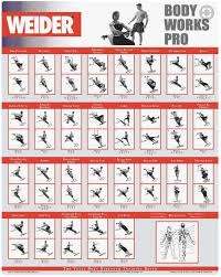 weider ultimate body works workout guide anotherhackedlife com