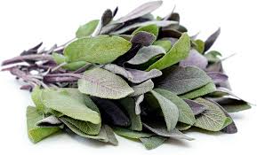 Check spelling or type a new query. Purple Sage Information And Facts
