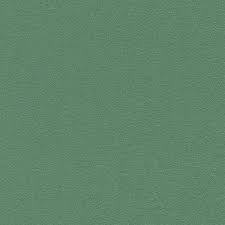 The forest green rovers chairman has said he could 'break new ground' by appointing the first female manager to work in english football's top four divisions. Rasch Kids Plain Textured Forest Green Wallpaper 469158