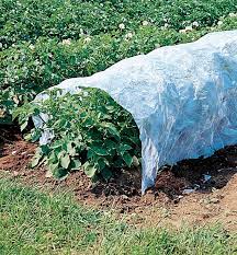 In a healthy garden, most plants can fight off pest infestations on their own. Floating Row Cover Lee Valley Tools