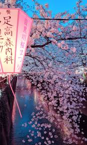 Last Night In Nakameguro Tokyo Japan Tourism Japan Travel Aesthetic Japan