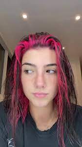 Charli D Amelio Charlidamelio On Tiktok Hair Color Hair Styles Hair Color Underneath