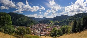 Black forest towns such as bad wildbad (63⁄4 miles/11 km), freudenstadt (17 miles/ 27 km) and others offer spas, sightseeing and relaxation opportunities, and are accessible for free by bus for those staying on the site. Black Forest Tourism De