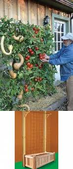 Gardening When To Plant Whatgardeningzoneisutah Info 4059949564 Vertical Vegetable Gardens Vegetable Garden Planner Organic Vegetable Garden