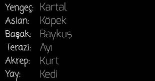 Burcuna Gore Hangi Hayvansin 2020 Ikizler Burclar Timsah