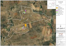 Image result for Thesium multiramulosum