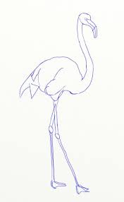How To Draw A Flamingo Bird Step 5 Flamingo Art How To Draw Flamingo Bird Drawings