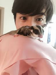 Ems On Twitter Exposing Kim Seokjin A Thread Bts Member Kim Seokjin Is A Science Experiment And He Is Actually A Sugar Glider Who Turns Into His Human Form Which Is What