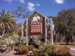 Maybe you would like to learn more about one of these? Zootampa At Lowry Park Wikipedia