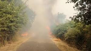 Jun 03, 2021 · l'incendio è adesso sotto controllo grazie all'intervento dei vigili del fuoco di firenze, con il supporto dei comandi di prato e pistoia. Fuoco In Sardegna Incendio Devastante Ad Abbasanta Evacuato Un Campo Scout Con 48 Bambini Casteddu On Line