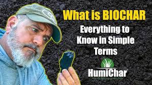 What is Biochar