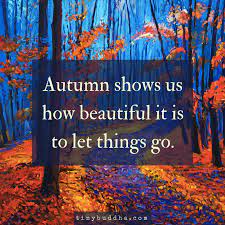 Autumn Shows Us How Beautiful It Is To Let Things Go Tiny Buddha Autumn Quotes Thoughts Quotes
