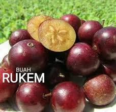 Language | idioma english español disclaimer: Flora Indonesia Buah 37 Rukem Biodiversity Indonesia Facebook