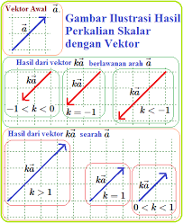 Lks matematika materi vektor vektor a 6n dan vektor b 8n membentuk sudut 60. Materi Proyeksi Skalar Dan Proyeksi Vektor Beserta Contoh Soalnya Jawabanku Id