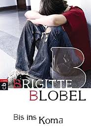 Bis Ins Koma Amazon De Blobel Brigitte Bucher