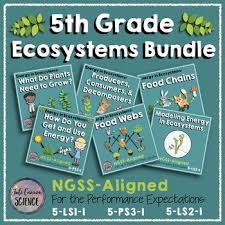 Ngss 5th Grade Energy In Ecosystems Bundle Ngss Ecosystems Engaging Science Lessons