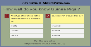 If you fail, then bless your heart. Trivia Quiz How Well Do You Know Guinea Pigs
