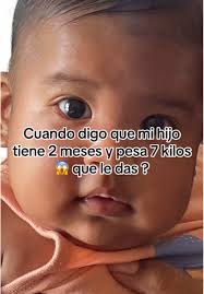 Humor Maternal: Un Osito Gordito y la Lactancia Materna