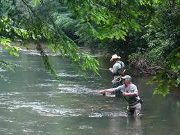 Gold Rush Chapter Trout Unlimited Dahlonega Ga
