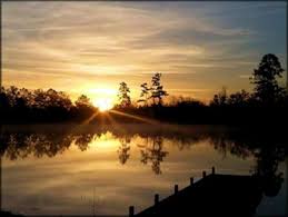 Maybe you would like to learn more about one of these? South Mississippi Off Road And Rv Park Mississippi Motorcycle And Atv Trails
