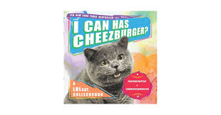 Image result for lolcats