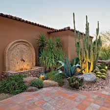 Pflanzen Kosmetik Phoenix Heim Garten In 2020 Desert Landscaping Backyard Backyard Design Landscape Design