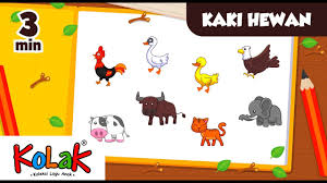 Lagu Anak Indonesia Kaki Hewan Tk Dan Paud Youtube