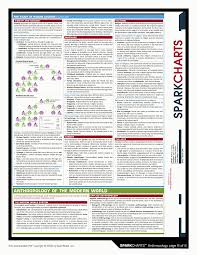 Field Of Anthropology Spark Chart 6 6 Anthropology