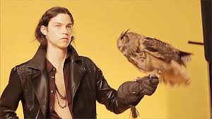 Birds Of Prey Gif Tumblr Https Encrypted Tbn0 Gstatic Com Images Q Tbn 3aand9gcsv11egl0gqjxpnstvndsyd A2 Vaxl Tcq G Usqp Cau