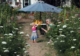 Maybe you would like to learn more about one of these? Gardenview Flower Farm Lets You Create Your Own Bouquet The Blade