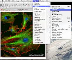 Fiji Is Just Imagej Download
