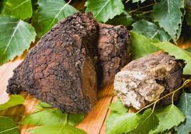 What is the best way to take chaga? Fascinating Chaga Benefits And How To Make Chaga Tea The Healthy Rd