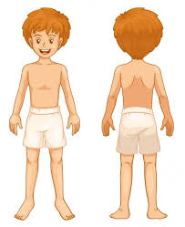Maybe you would like to learn more about one of these? 29 602 Kid Body Vector Images Free Royalty Free Kid Body Vectors Depositphotos